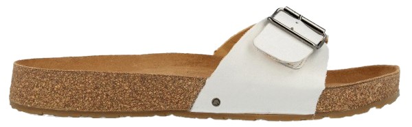 Haflinger Gina