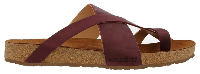 Haflinger Jack