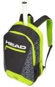 Head