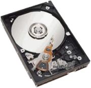 HP SATA Hot Plug Hard Drive 160GB (349238-B21)
