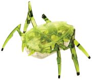 HexBug