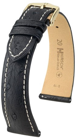 Hirsch