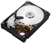 Hitachi Ultrastar A7K2000 500GB (HUA722050CLA330)