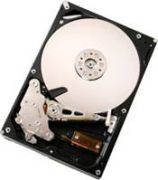 Hitachi Deskstar 5K1000 500GB (HDS5C1050CLA382)