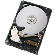 Hitachi 250GB (722525DLAT80)