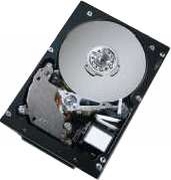 Hitachi Ultrastar 10K300 73GB (HUS103073FL3800)