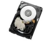 Hitachi Ultrastar 15K600 300GB (HUS156030VLS600)
