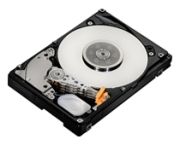 Hitachi Ultrastar C10K600 300GB (HUC106030CSS600)