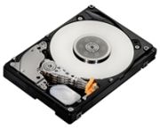 Hitachi Ultrastar C10K600 600GB (HUC106060CSS600)