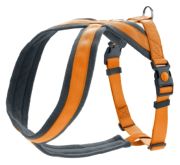 Hunter Geschirr London Comfort S-M/1