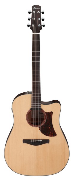 Ibanez AAD170CE-LGS