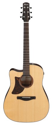 Ibanez AAD170LCE-LGS