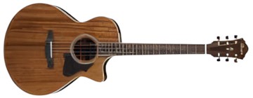 Ibanez AE245-NT