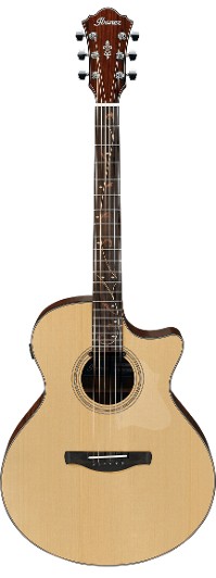 Ibanez AE275