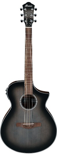 Ibanez AEWC11