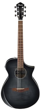 Ibanez AEWC400