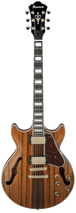 Ibanez AM93ME-NT