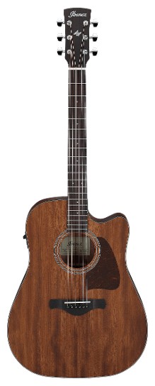 Ibanez AW247CE