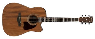 Ibanez