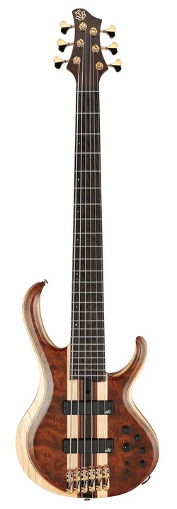 Ibanez
