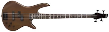 Ibanez