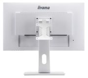 iiyama