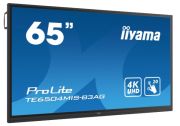 iiyama