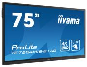 iiyama