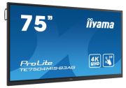 iiyama