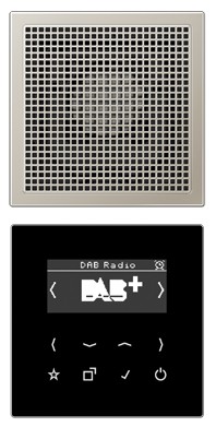 Jung DAB ES1