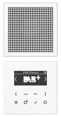 Jung DAB LS1 WW