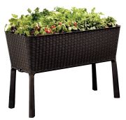 Keter Easy Growing Hochbeet 120 l
