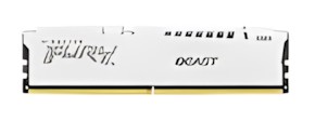 Kingston Fury Beast DDR5-6000 32GB (KF560C36BWE-32)