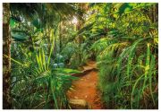 Komar Fototapete Jungle Trail 8-989