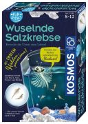 Kosmos Fun Science Wuselnde Salzkrebse