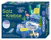 Kosmos
