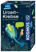 Kosmos