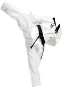 Kwon Taekwondo-Anzug Starfighter