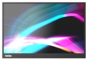 Lenovo ThinkVision M14d (63AAUAT6WL)