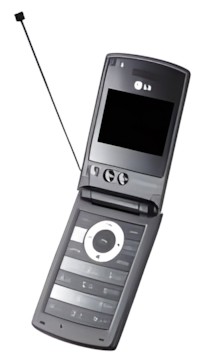 LG