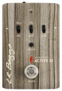 L.R. Baggs Align Active DI