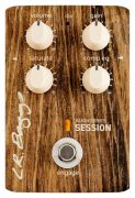 L.R. Baggs Align Session