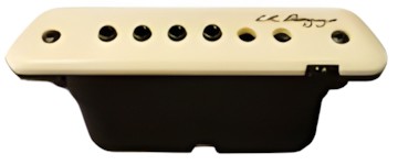 L.R. Baggs M1