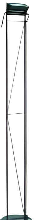 Lumina