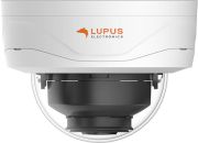 Lupus