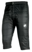 Mammut
