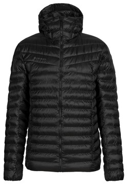 Mammut
