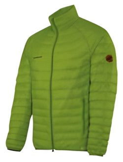 Mammut