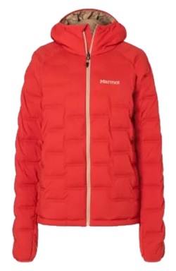 Marmot