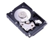 Fujitsu 73,5GB (MAX3073RC)